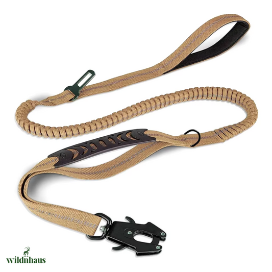 Reflective Shock Absorbing Pet Leash/Seatbelt