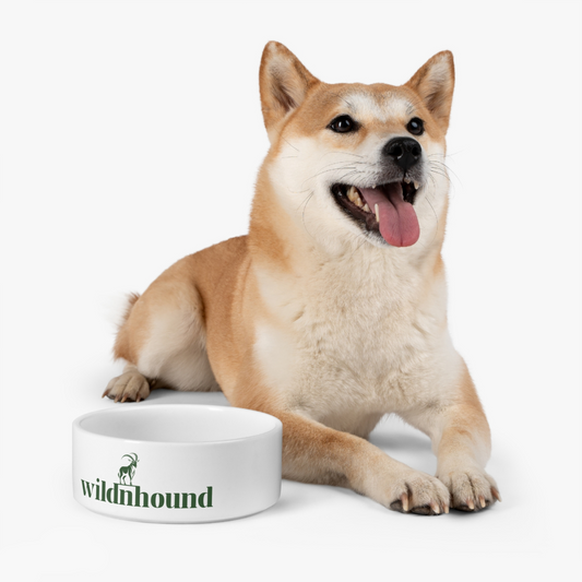 Ceramic Pet Bowl