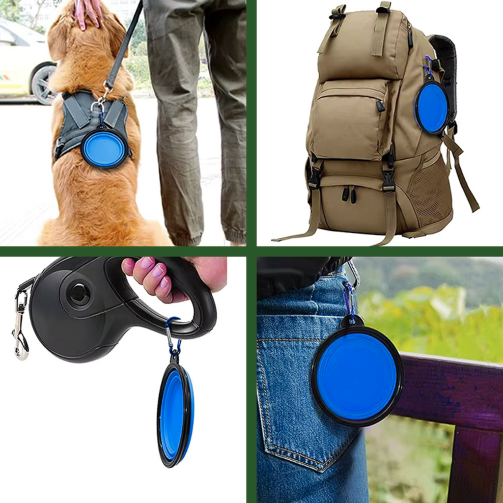 Collapsible Silicone Travel Bowl