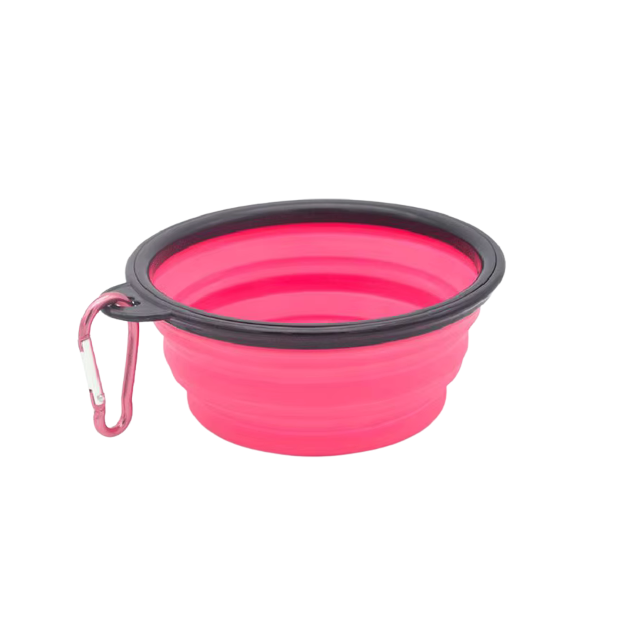 Collapsible Silicone Travel Bowl