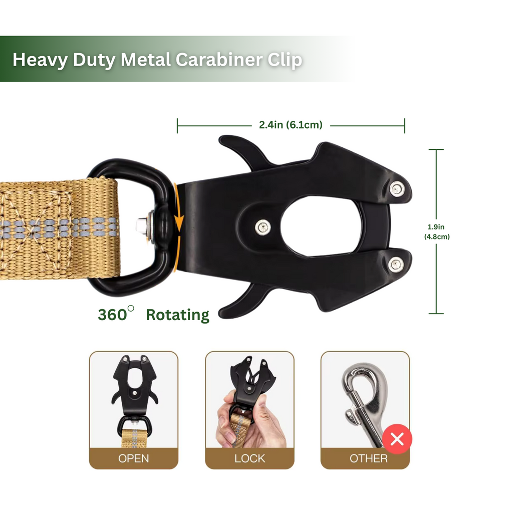 Reflective Shock Absorbing Pet Leash/Seatbelt