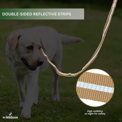 Reflective Shock Absorbing Pet Leash/Seatbelt