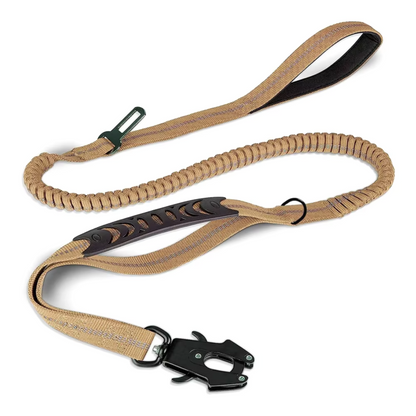 Reflective Shock Absorbing Pet Leash/Seatbelt
