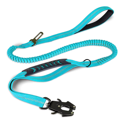 Reflective Shock Absorbing Pet Leash/Seatbelt