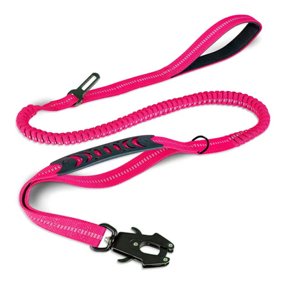 Reflective Shock Absorbing Pet Leash/Seatbelt